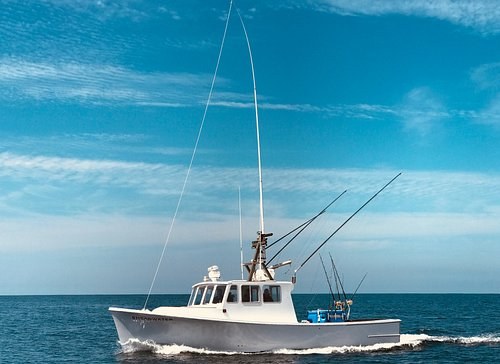 Chatham Boat Tours photo