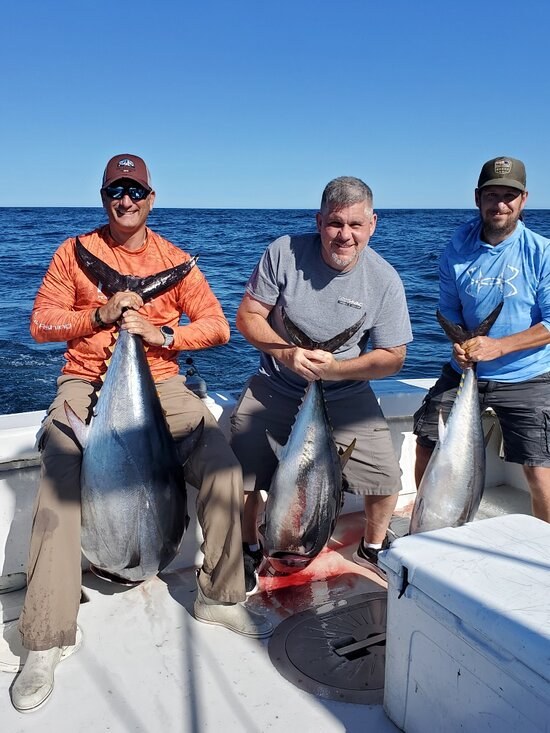 Capeshores Charters photo