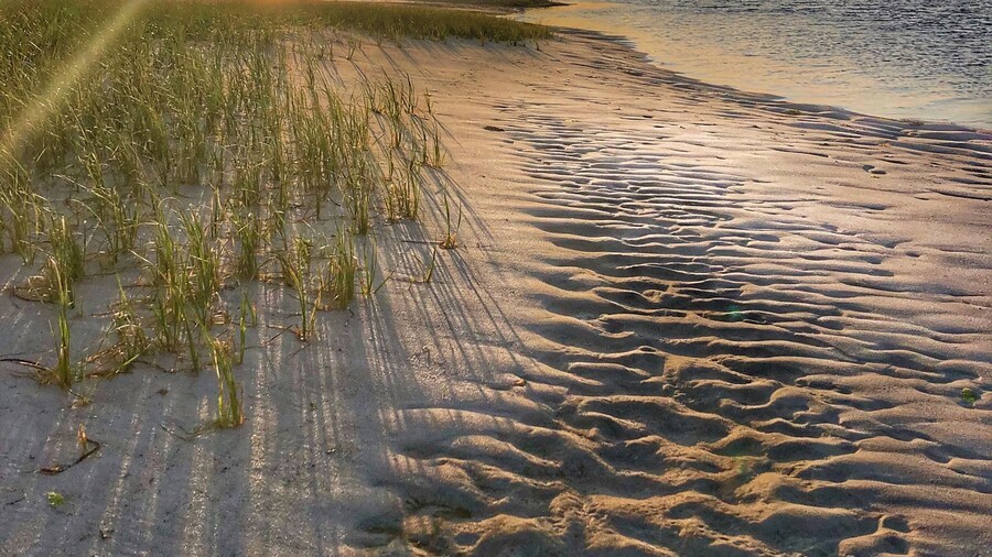 Harding’s Beach beach scenery