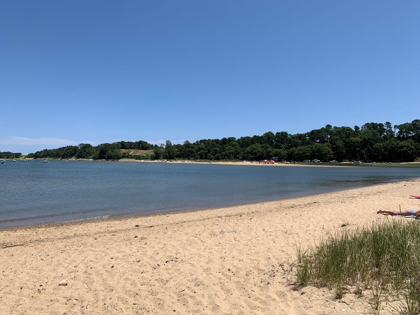 Jackknife Harbor Beach beach scenery